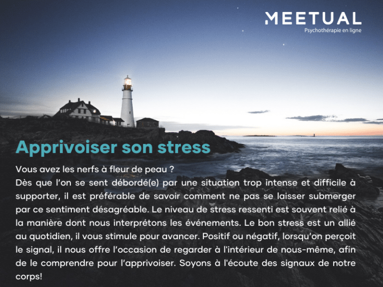 Apprivoiser son stress - Capsule France Martel